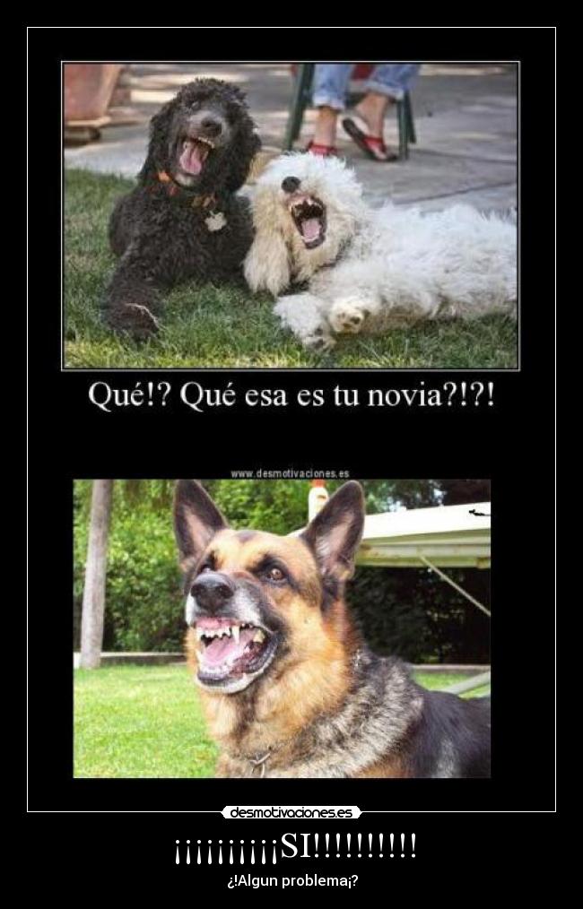 ¡¡¡¡¡¡¡¡¡¡SI!!!!!!!!!! - ¿!Algun problema¡?