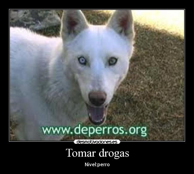 Tomar drogas -