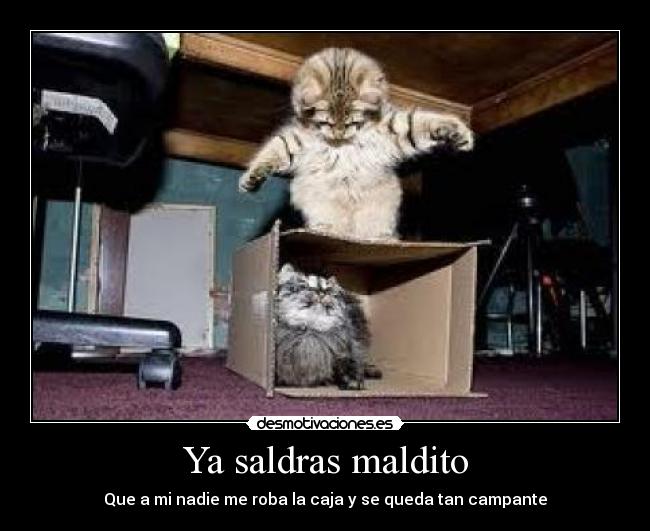 Ya saldras maldito -