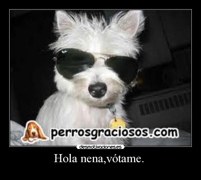 Hola nena,vótame. -
