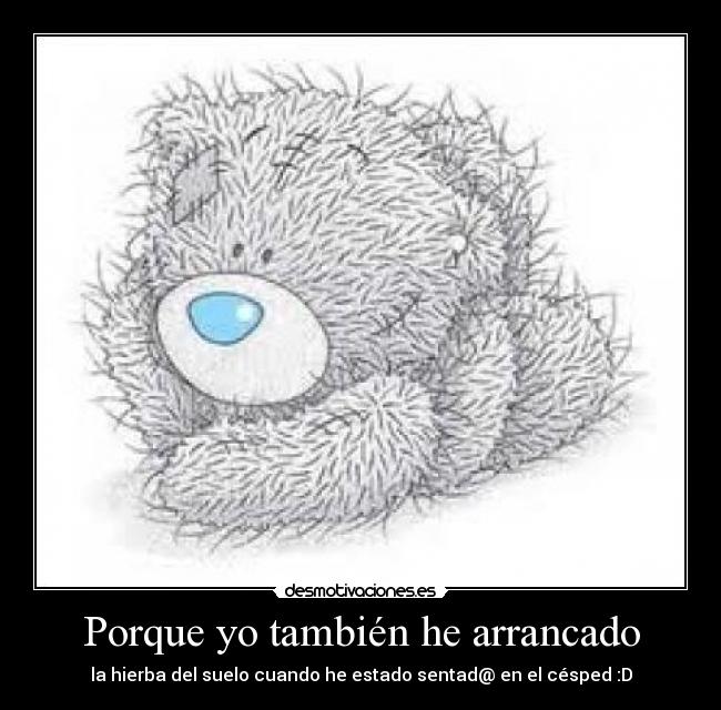 Porque yo también he arrancado - 