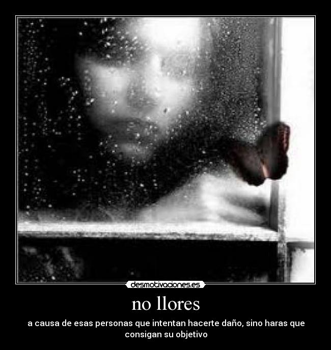 no llores -