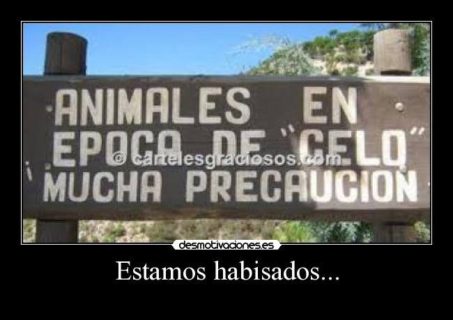 Estamos habisados... - 