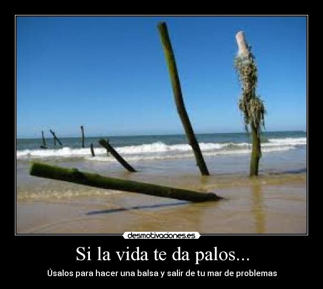 Si la vida te da palos... - Úsalos para hacer una balsa y salir de tu mar de problemas