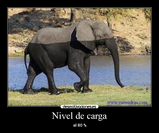 carteles elefante desmotivaciones