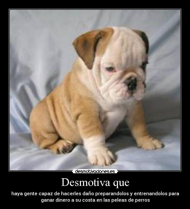 Desmotiva que - haya gente capaz de hacerles daño preparandolos y entrenandolos para
ganar dinero a su costa en las peleas de perros