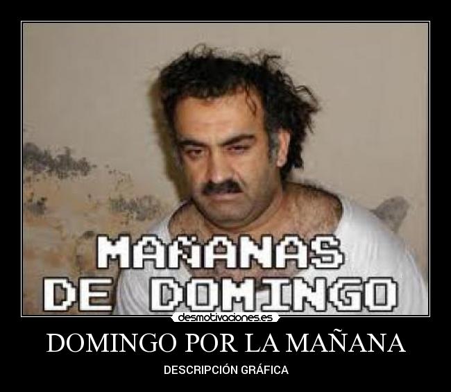 DOMINGO POR LA MAÑANA - DESCRIPCIÓN GRÁFICA