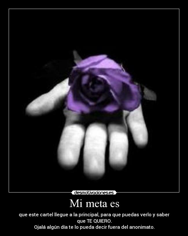 Mi meta es - 