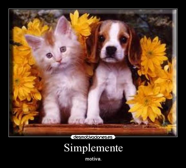 Simplemente - 