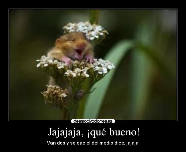 Jajajaja, ¡qué bueno! -