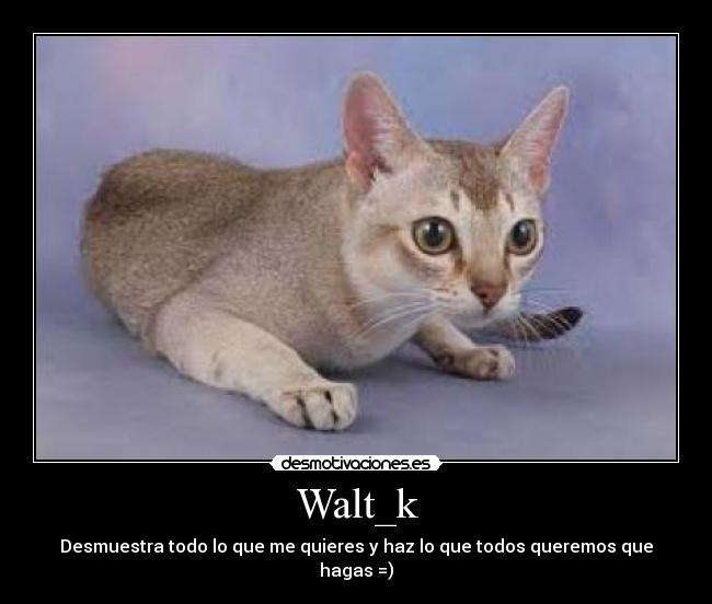 Walt_k -