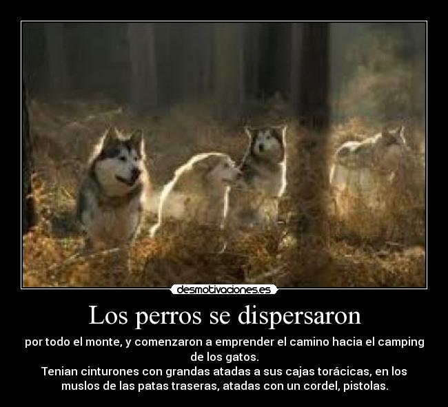 Los perros se dispersaron - por todo el monte, y comenzaron a emprender el camino hacia el camping
de los gatos.
Tenian cinturones con grandas atadas a sus cajas torácicas, en los
muslos de las patas traseras, atadas con un cordel, pistolas.