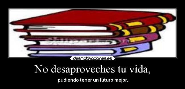 No desaproveches tu vida, - 