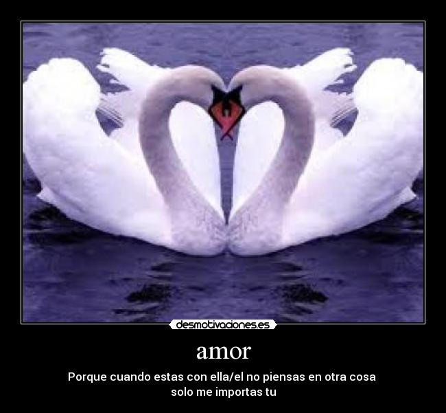 carteles amor 5552558745 desmotivaciones
