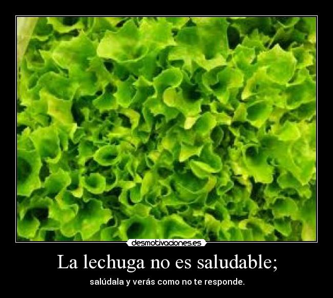 La lechuga no es saludable; - salúdala y verás como no te responde.