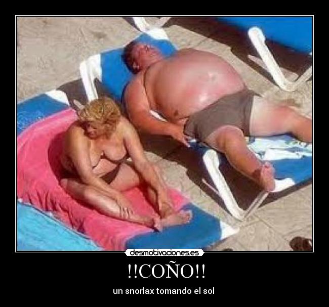 !!COÑO!! - un snorlax tomando el sol 