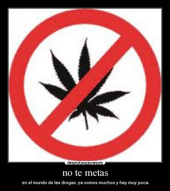 no te metas -  en el mundo de las drogas..ya somos muchos y hay muy poca.