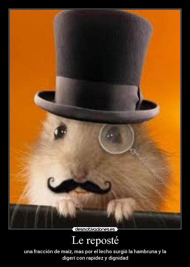 carteles qwe desmotivaciones