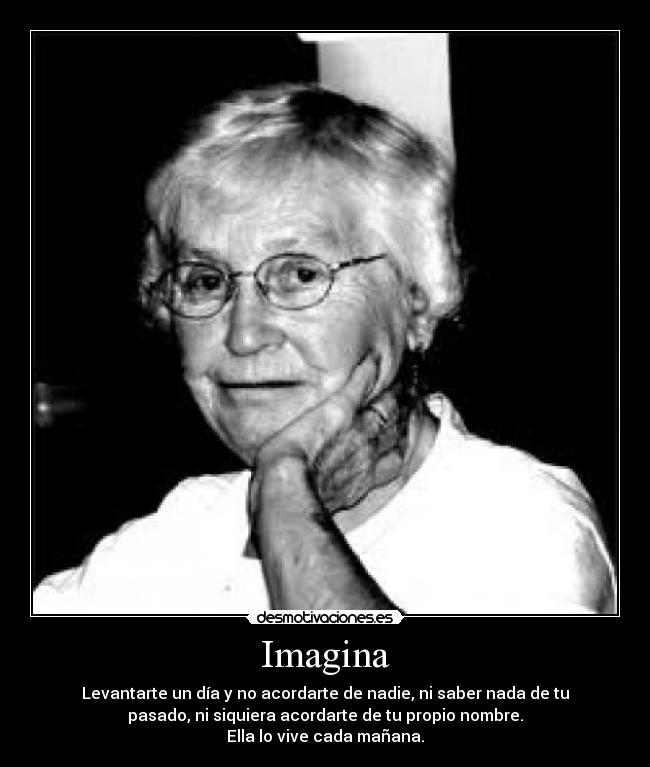 Imagina - 