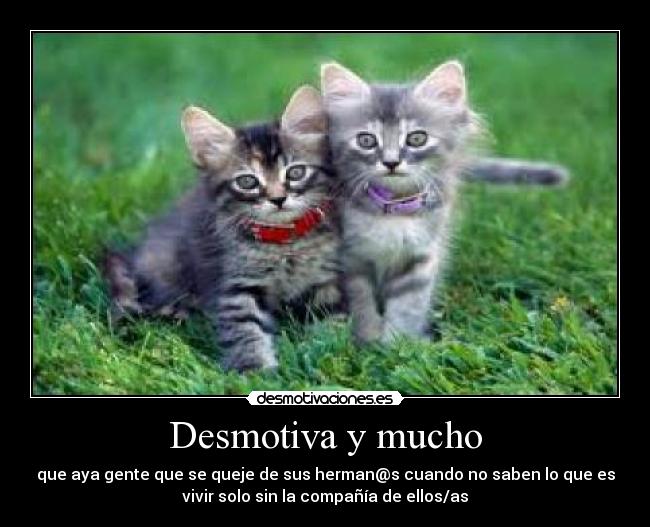 Desmotiva y mucho - que aya gente que se queje de sus herman@s cuando no saben lo que es
vivir solo sin la compañía de ellos/as