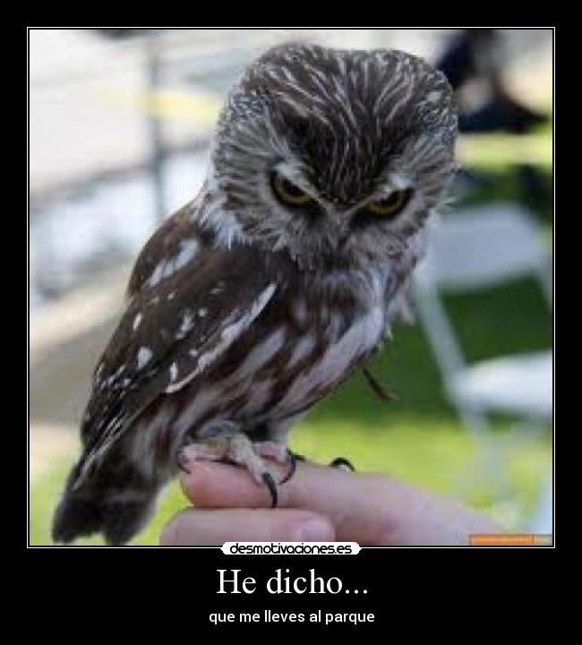 He dicho... - que me lleves al parque