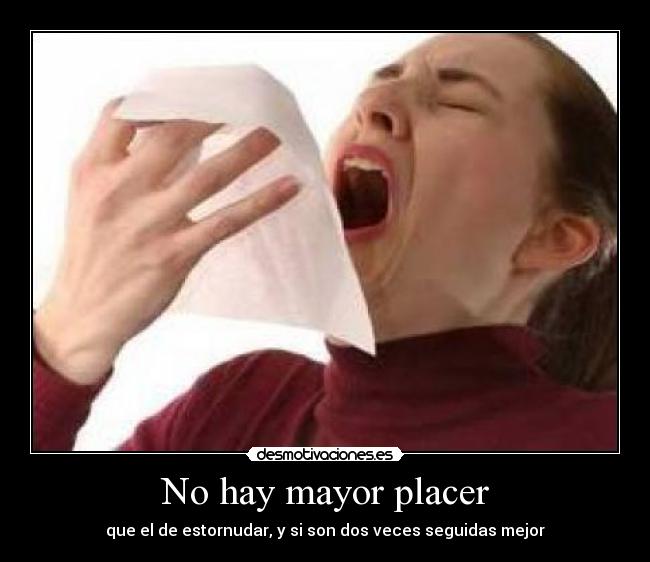 No hay mayor placer - que el de estornudar, y si son dos veces seguidas mejor