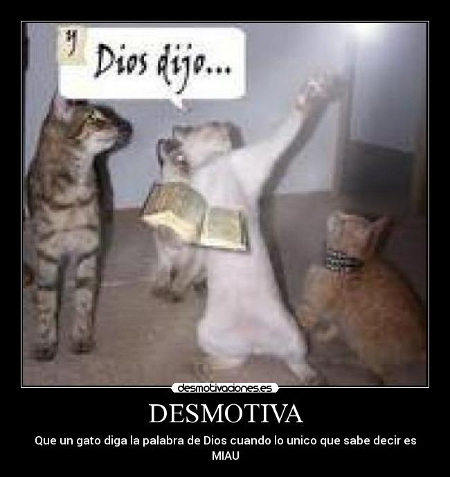 DESMOTIVA - Que un gato diga la palabra de Dios cuando lo unico que sabe decir es MIAU