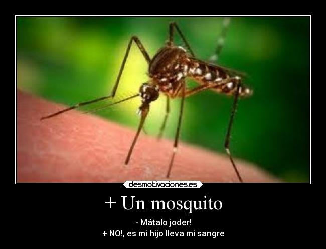 + Un mosquito - - Mátalo joder!
+ NO!, es mi hijo lleva mi sangre