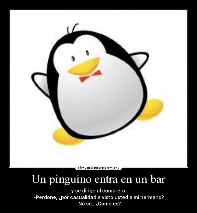 Un pinguino entra en un bar - 