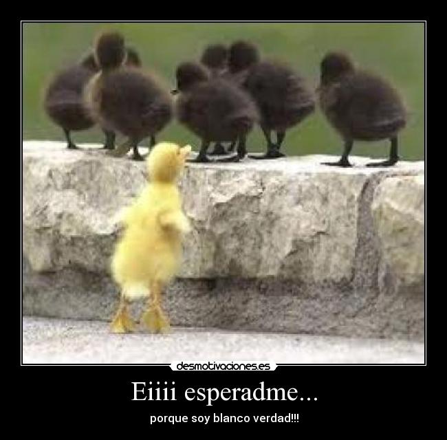 Eiiii esperadme... -