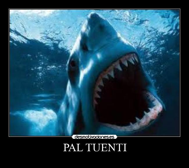 PAL TUENTI - 