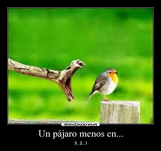 Un pájaro menos en... - 
