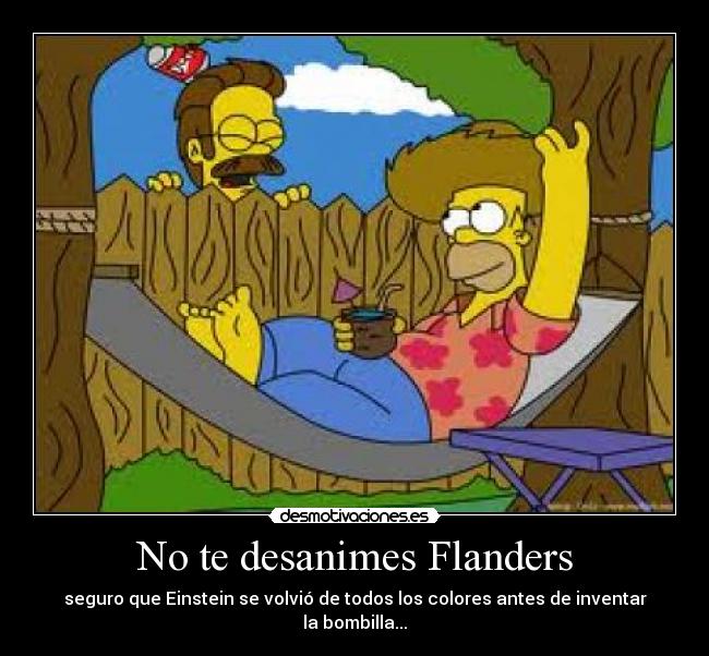 No te desanimes Flanders - seguro que Einstein se volvió de todos los colores antes de inventar la bombilla...