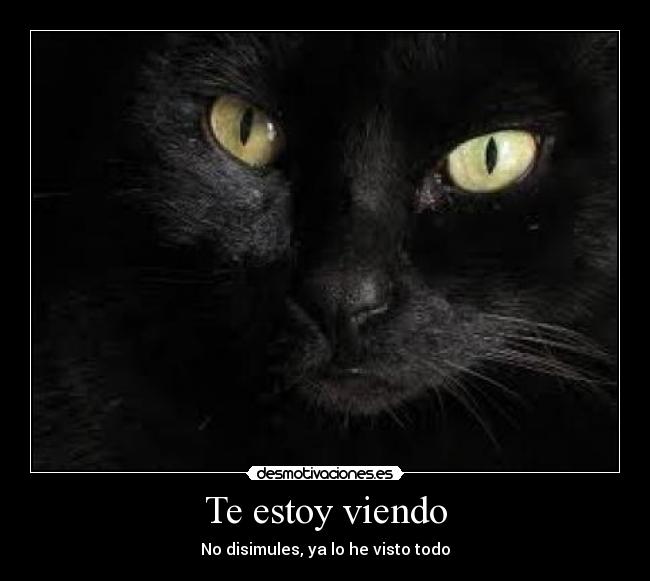Te estoy viendo - 
