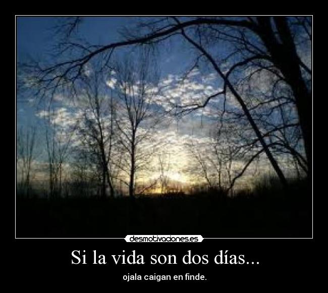 Si la vida son dos días... - ojala caigan en finde.