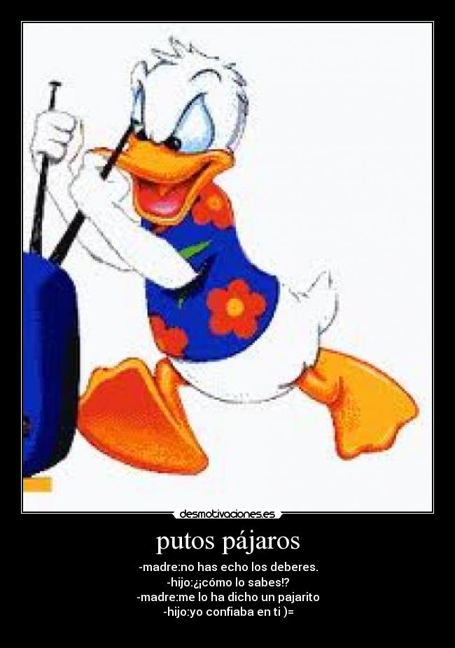 putos pájaros - 