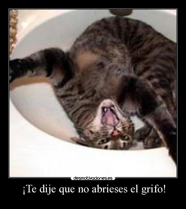 ¡Te dije que no abrieses el grifo! -