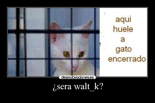 ¿sera walt_k? -