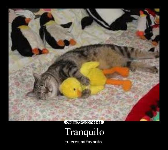 Tranquilo -