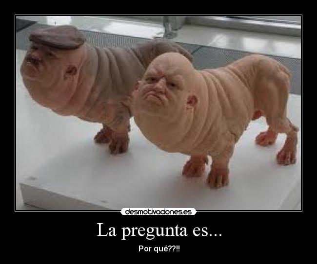 carteles trthyjgfdd feo perro pregunta por que desmotivaciones