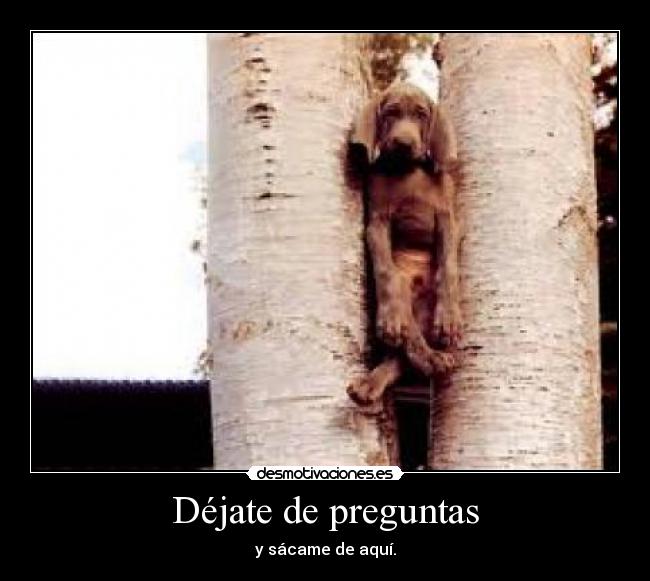 Déjate de preguntas - y sácame de aquí.