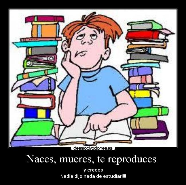 Naces, mueres, te reproduces -