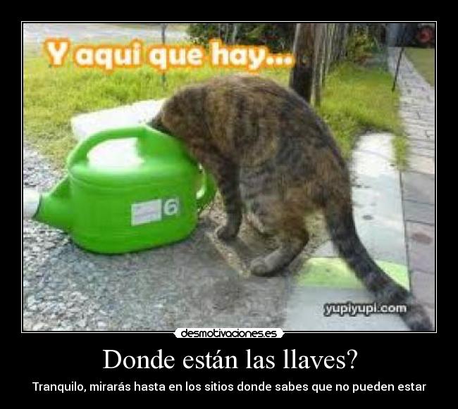 Donde están las llaves? -