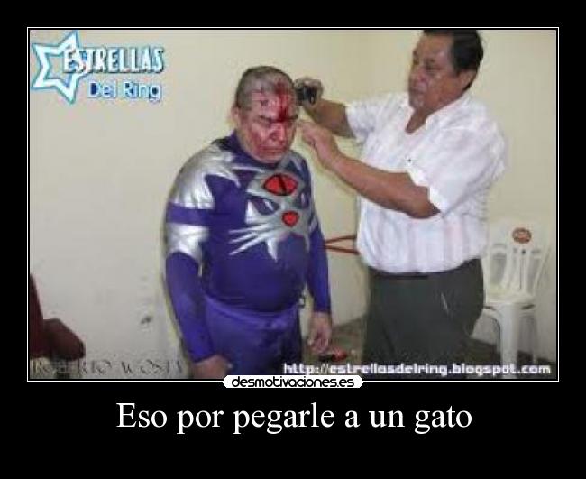 Eso por pegarle a un gato -