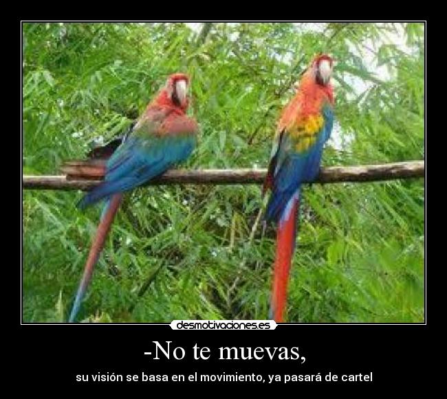 carteles puntos negros blancos raza efectos cosas mas cosas fail desesperacion desmotivaciones