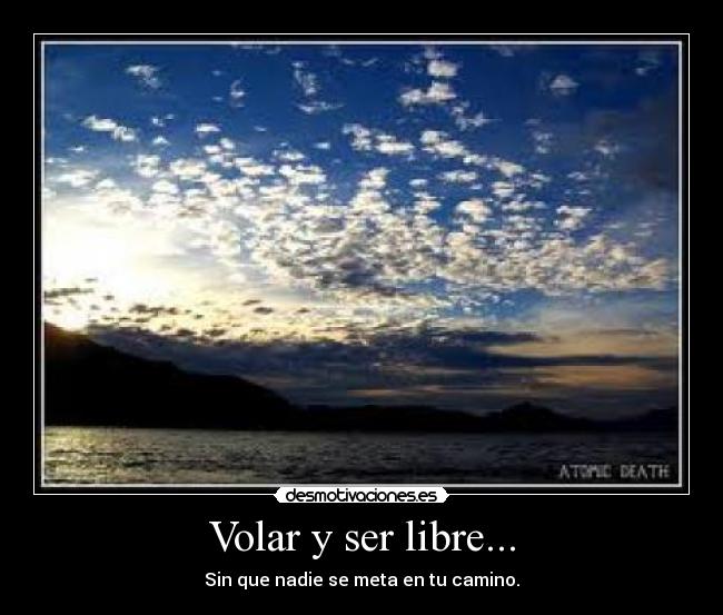 Volar y ser libre... - 