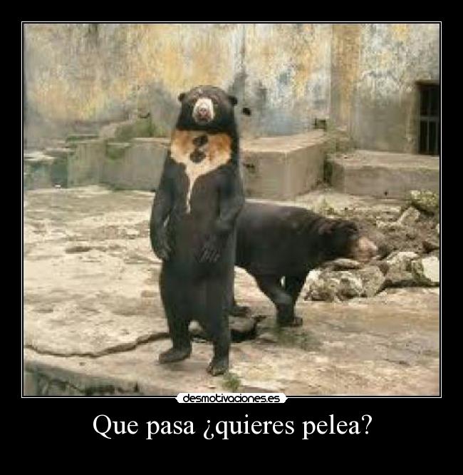 Que pasa ¿quieres pelea? -