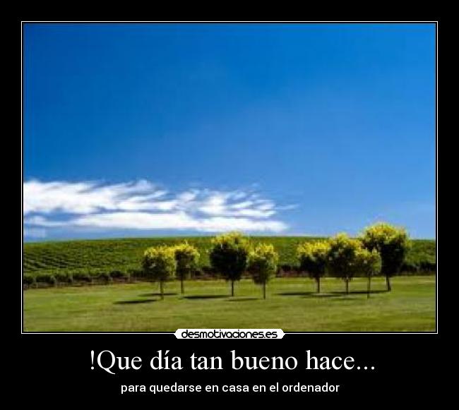 !Que día tan bueno hace... -
