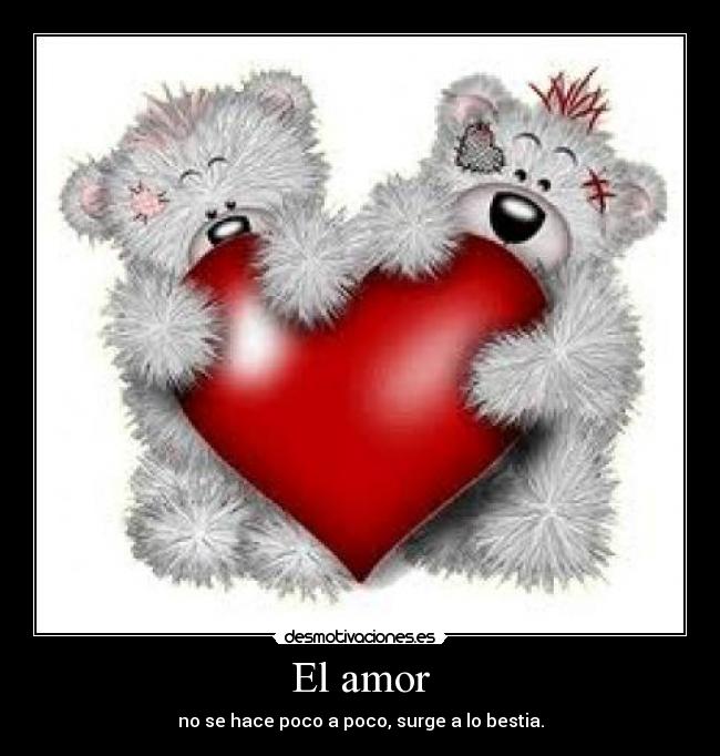 El amor - no se hace poco a poco, surge a lo bestia.