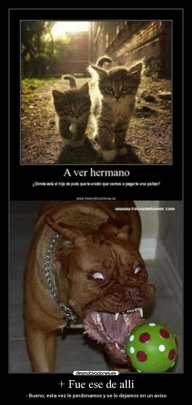 + Fue ese de allí - - Bueno, esta vez le perdonamos y se lo dejamos en un aviso